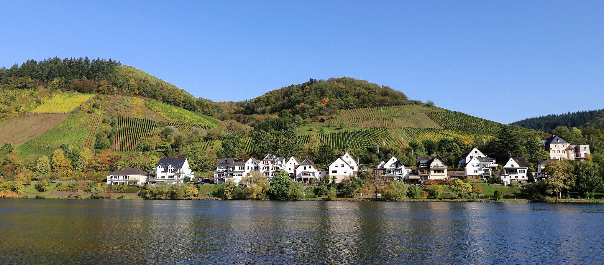 Ferienhaus Bullay direkt Moselufer mit Moselblick
