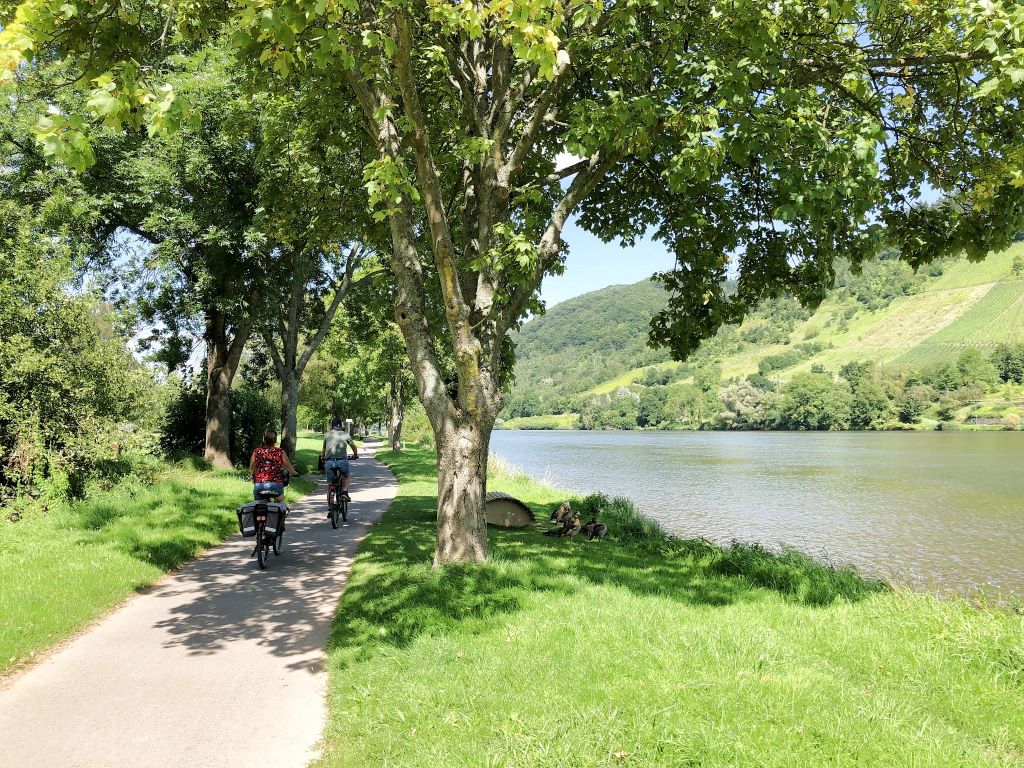 Mosel Radweg bei Alf - Moselurlaub in Ferienhaus Bullay, Königswiese 19, 56859 Bullay (Mosel)