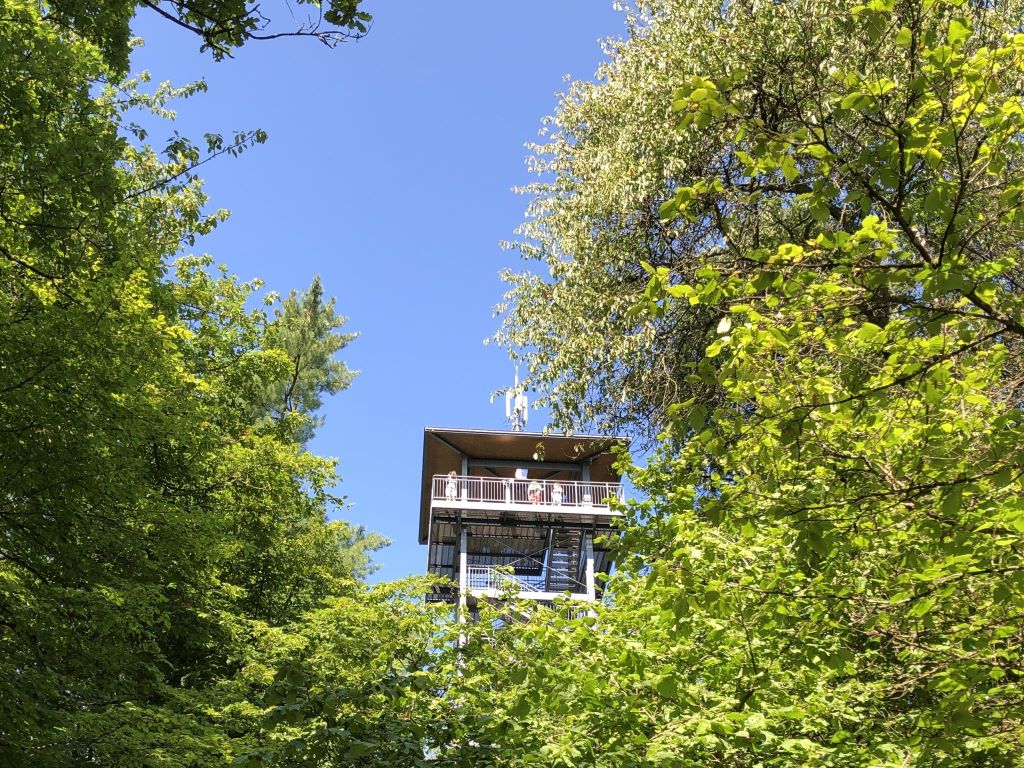 Prinzenkopf Turm - Urlaub an der Mosel in Ferienwohnung Prinzenkopf in Ferienhaus Bullay, Königswiese 19, 56859 Bullay (Mosel)